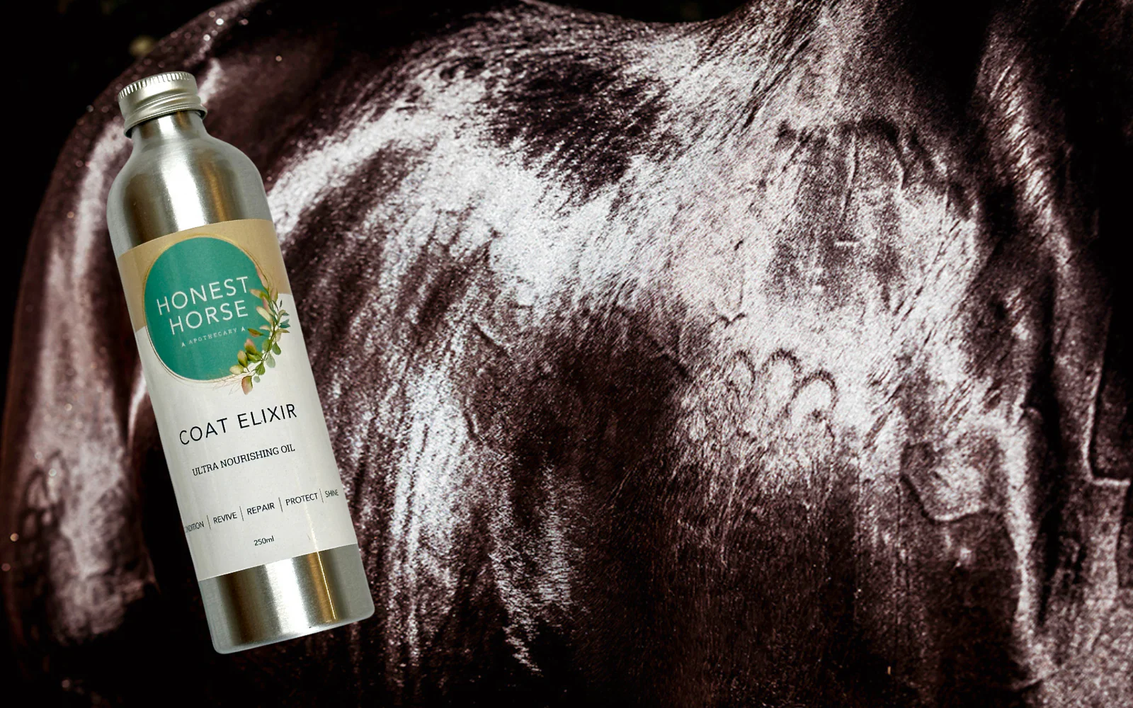 Welcome to Our Store