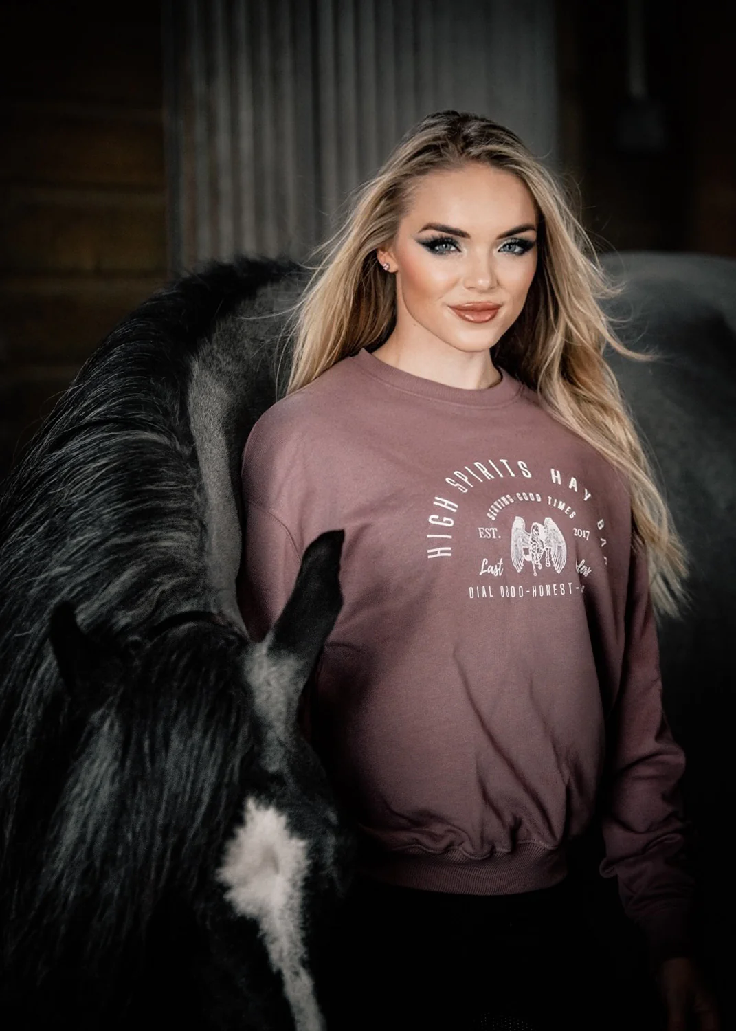 'Hay Bar' Fig | Tennessee Sweatshirt - Image 4