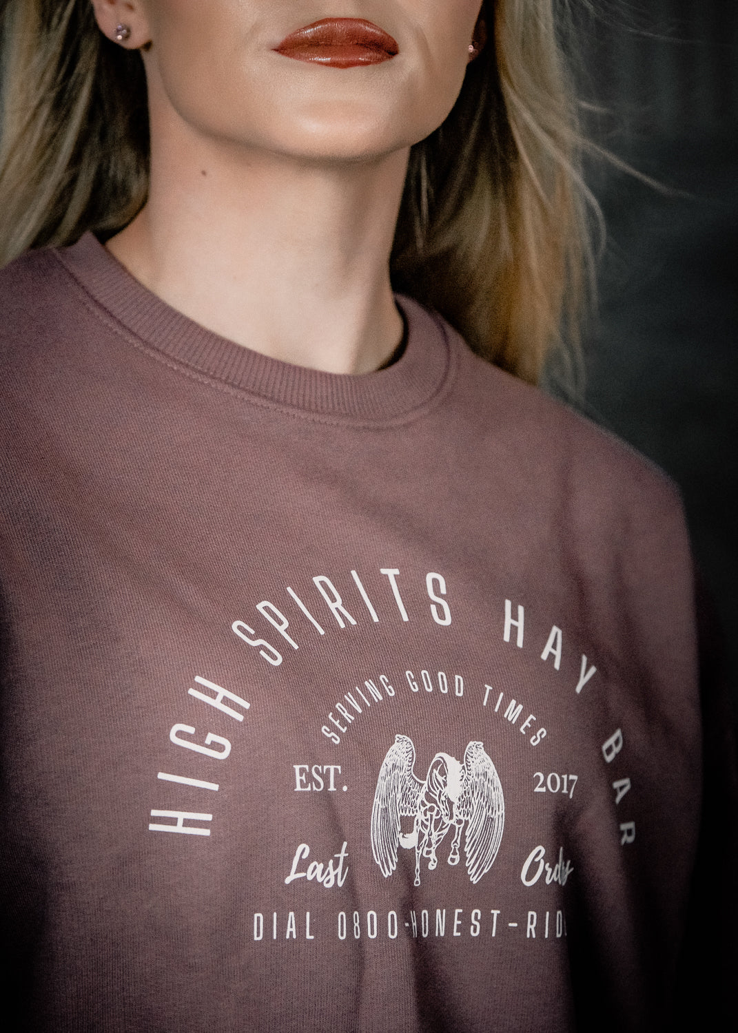'Hay Bar' Fig | Tennessee Sweatshirt - Image 5