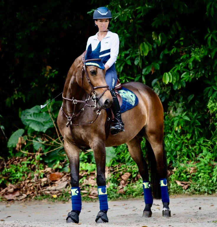 Paladin Equestrian: Peacock Feather Saddle Pad - Image 3