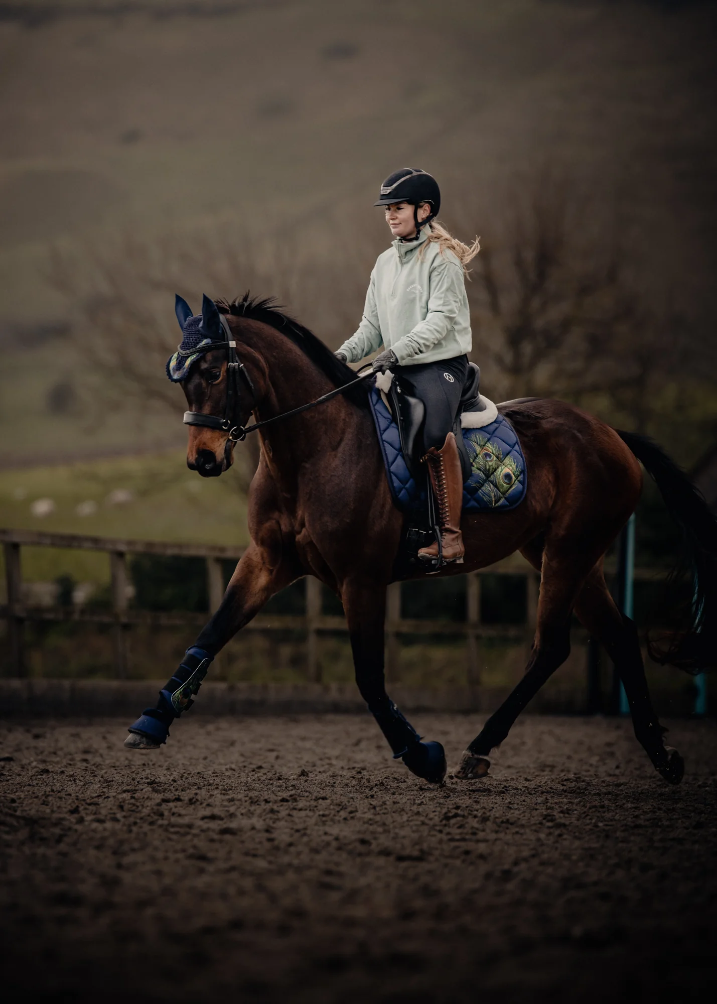 Paladin Equestrian: Peacock Feather Set - Image 3