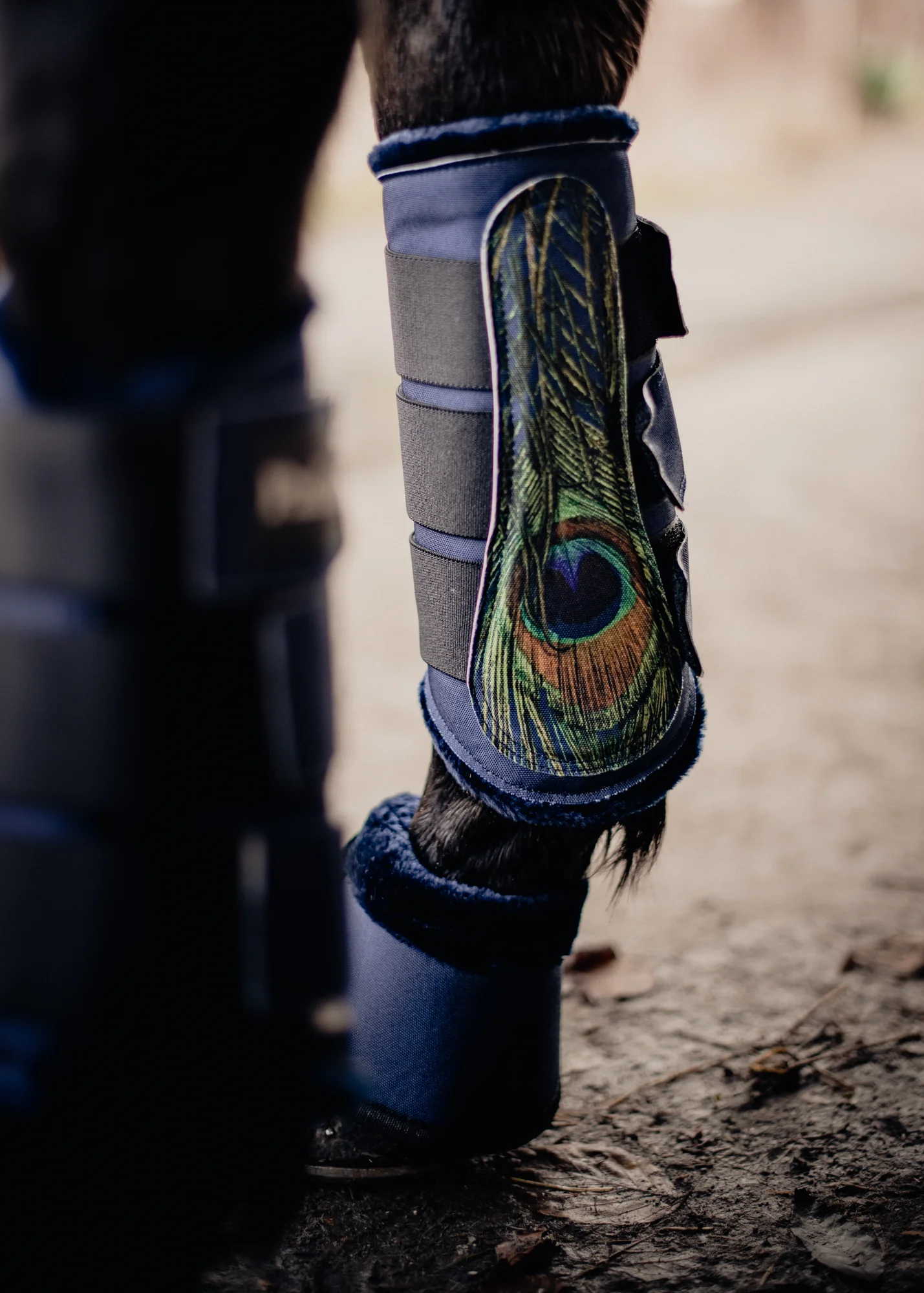 Paladin Equestrian: Peacock Feather Set - Image 4