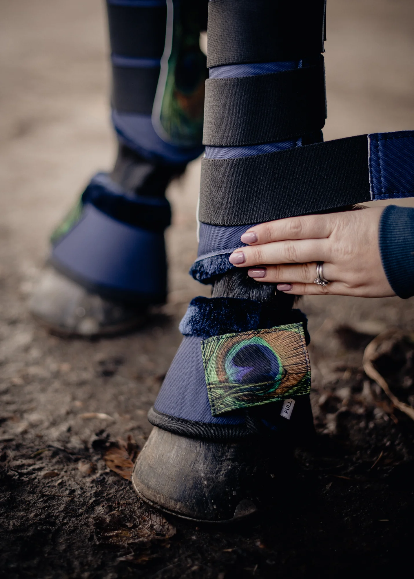 Paladin Equestrian: Peacock Feather Set - Image 5