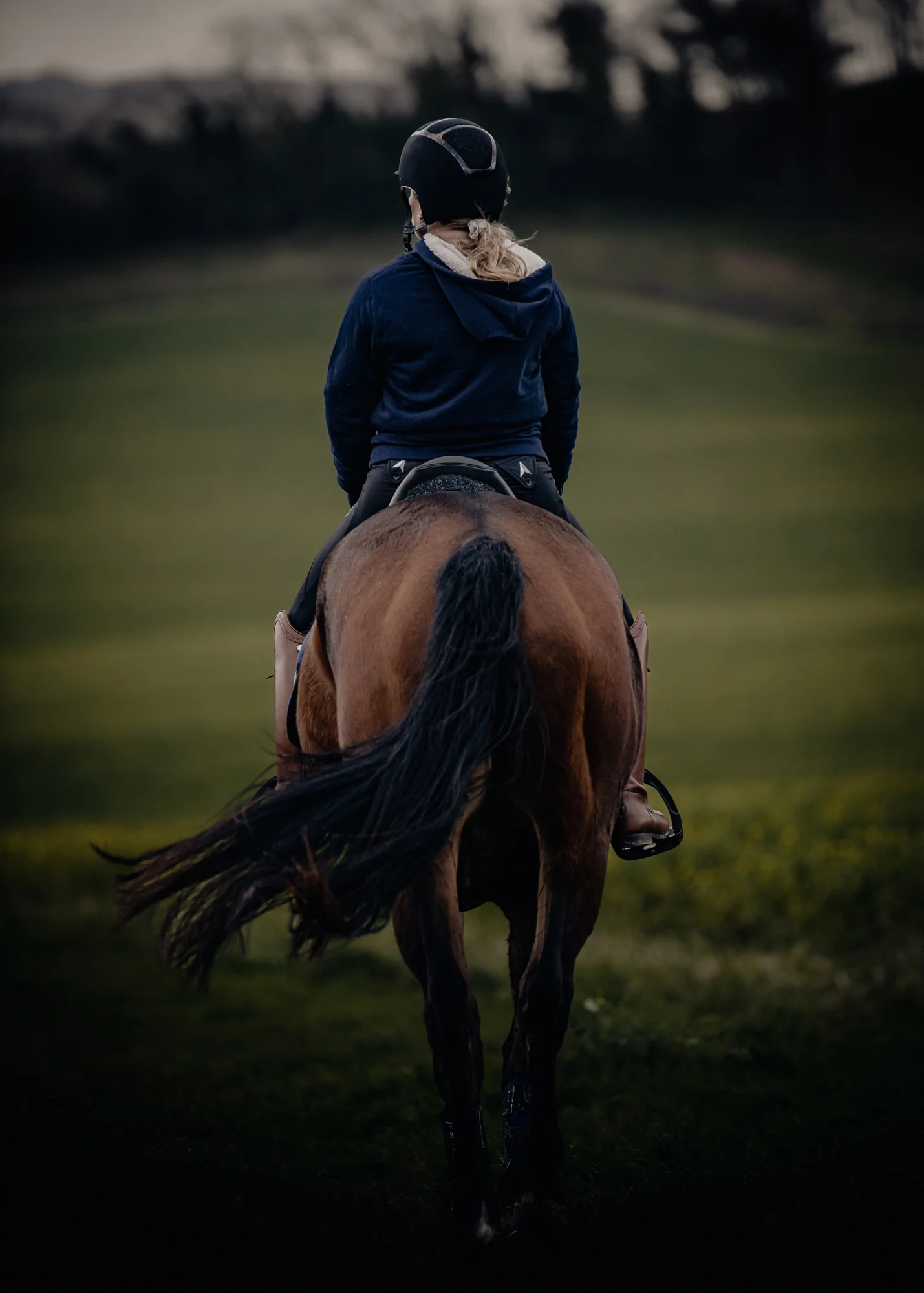 Shetland Full Zip Sherpa Hoodie - Image 4