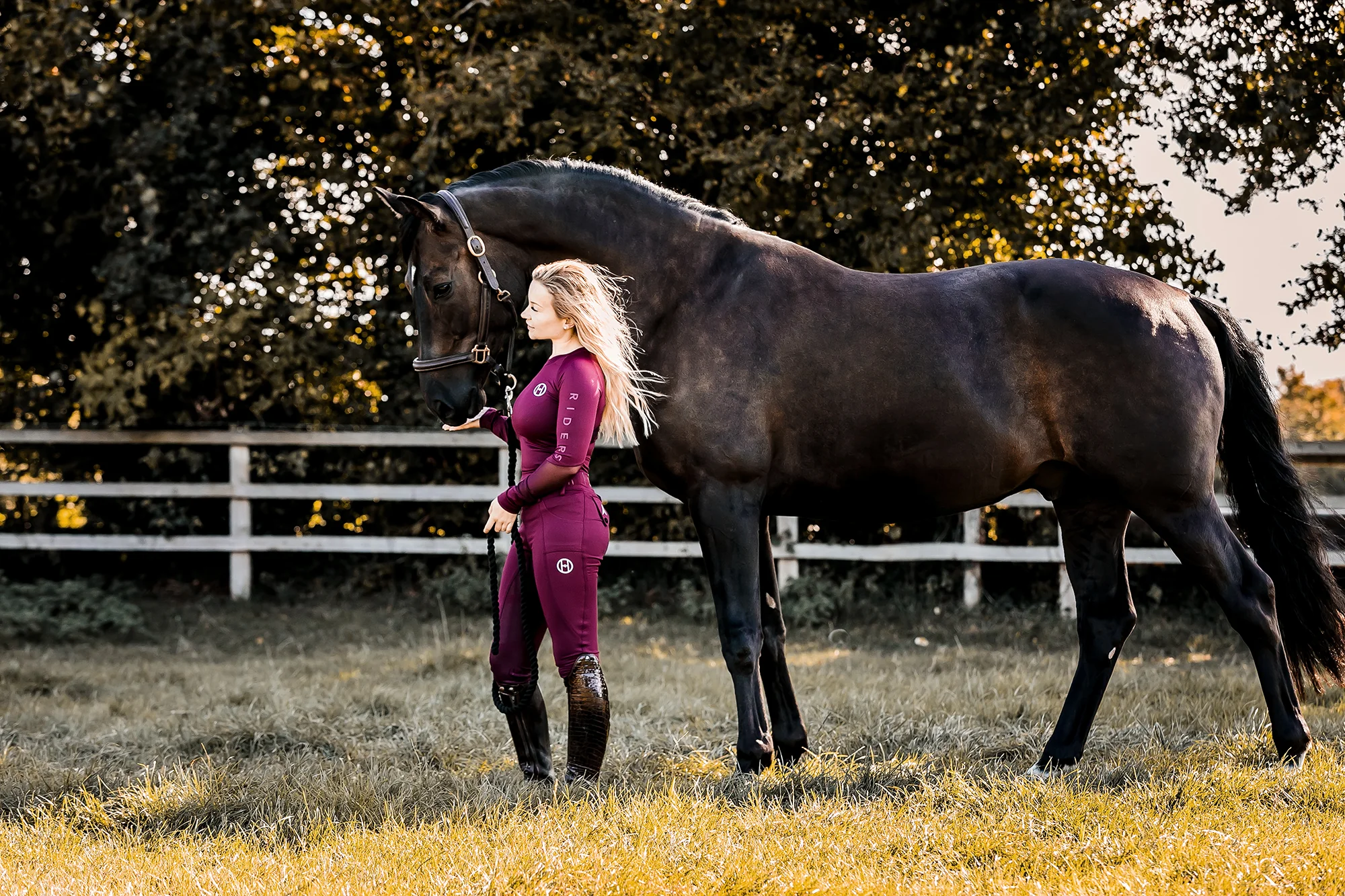 Training Layer | MULBERRY - Image 3