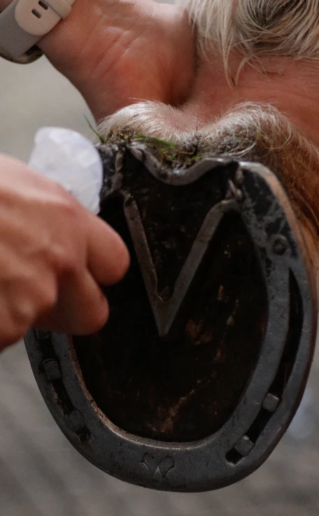 Honest Horse | HOOF CLEANSER | Refill - Image 6